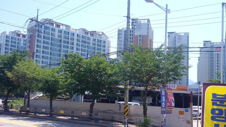 명성행정사사무소 이미지