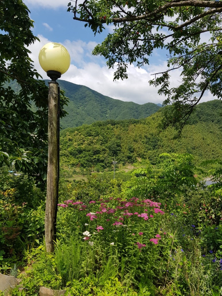 마리네민박 이미지