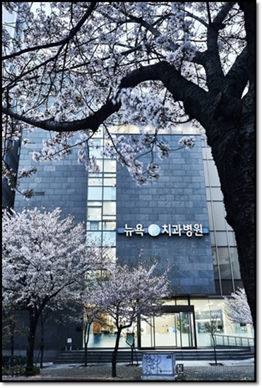 뉴욕100세치과 이미지