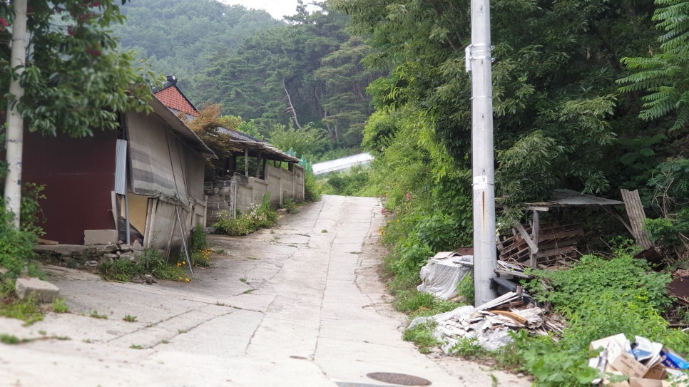 안동와룡농업협동조합주유소 이미지