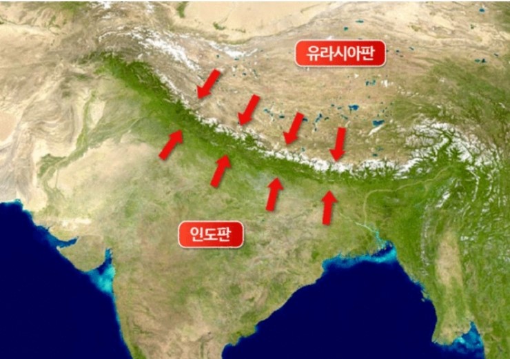 뉴시애틀 이미지