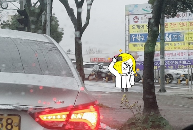 만세고기 이미지