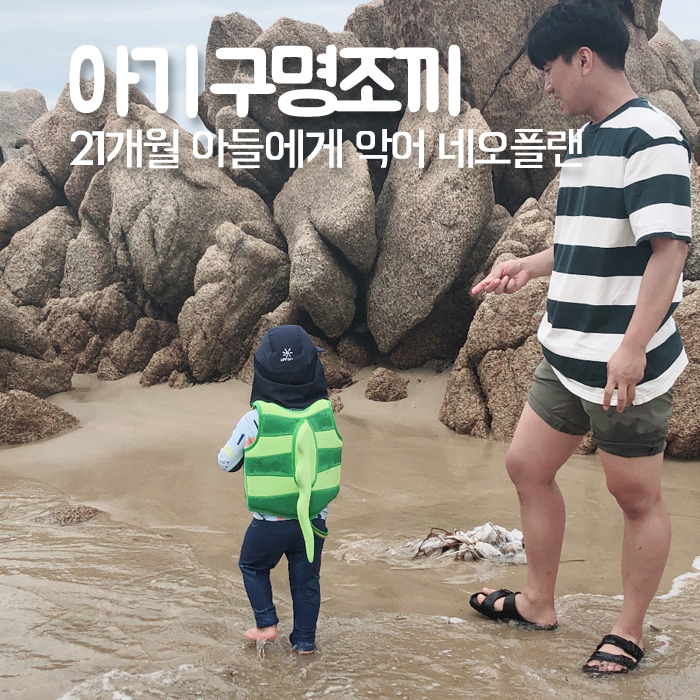 퍼니테일 이미지
