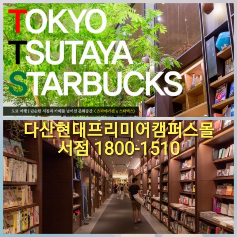이춘복헤어 이미지