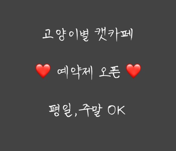 고양이별캣카페 이미지