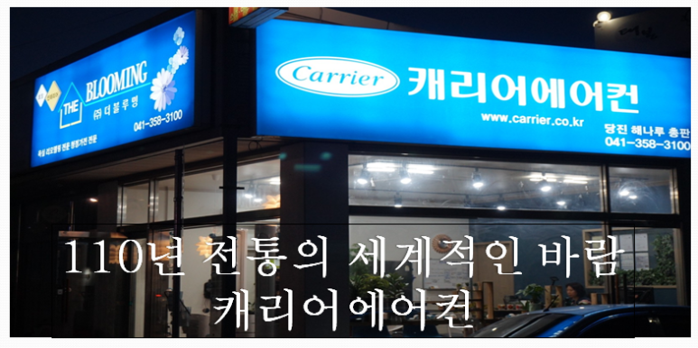 주식회사 더블루밍 이미지