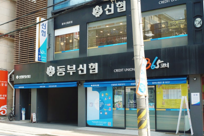 보금장 이미지