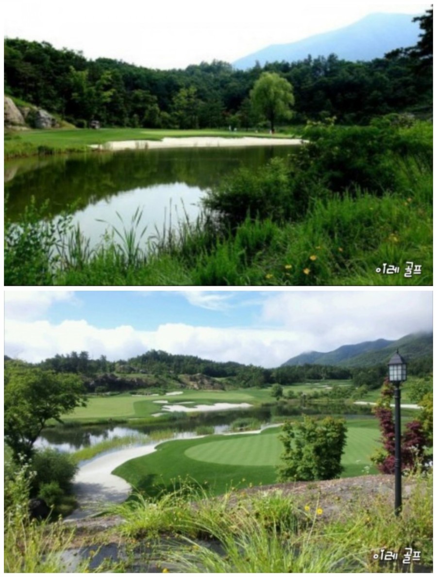 정성이엔씨주 이미지