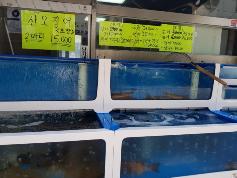 목동회수산 이미지