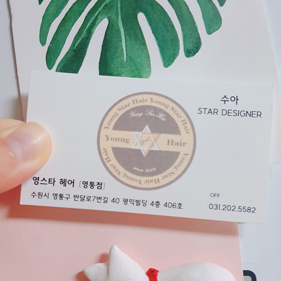 영스타서비스 이미지