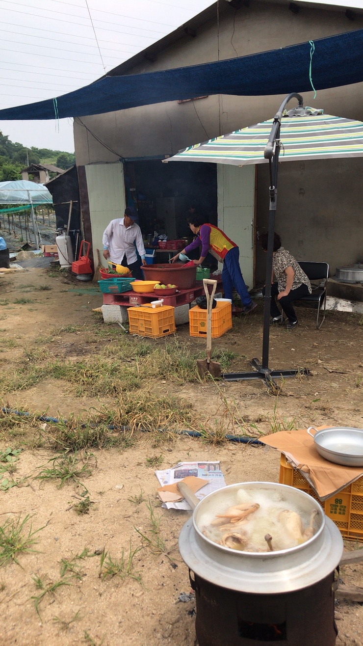 더드림농원 이미지