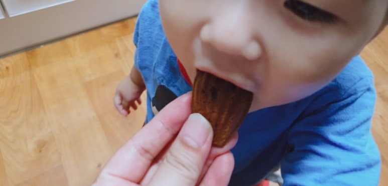 율참치 이미지