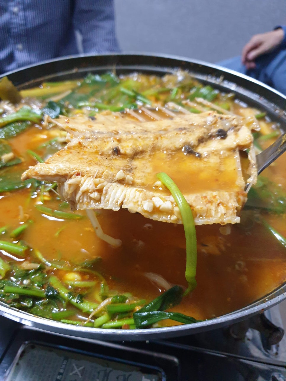 정든가 이미지