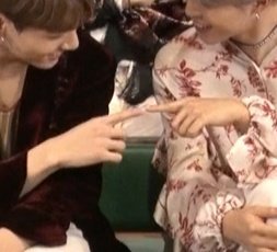 손차이 이미지