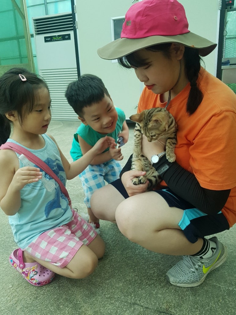 강화당 이미지