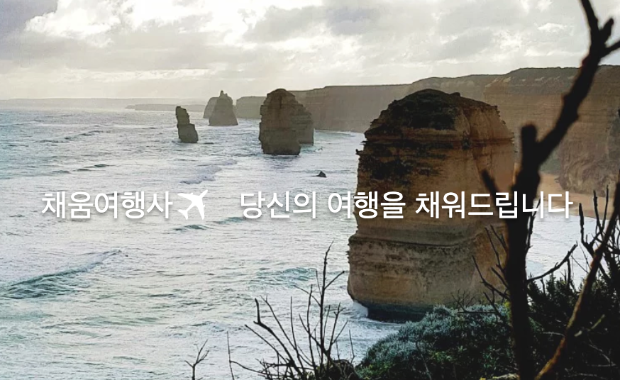 채움 여행사 이미지