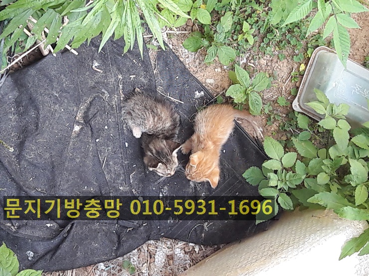 청우물산 이미지