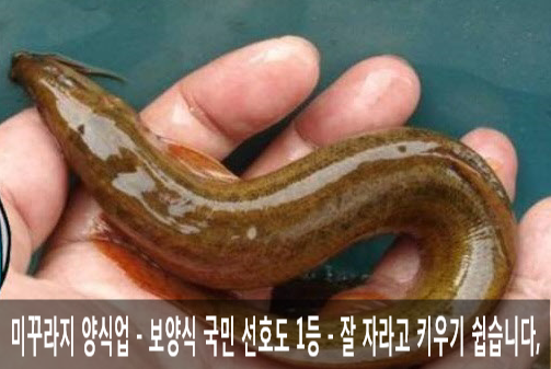 복권판매점황금손 이미지