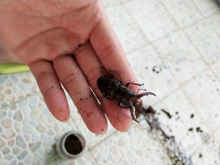 톱사인 이미지