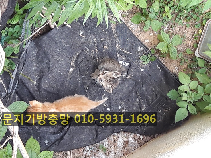 청우물산 이미지