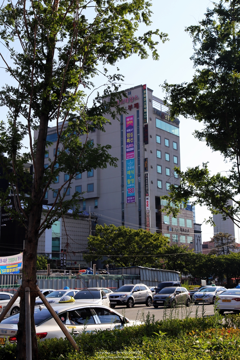 르네상스뷔페크로네 이미지