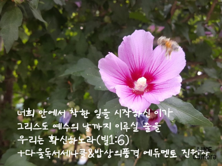 다울에듀 이미지