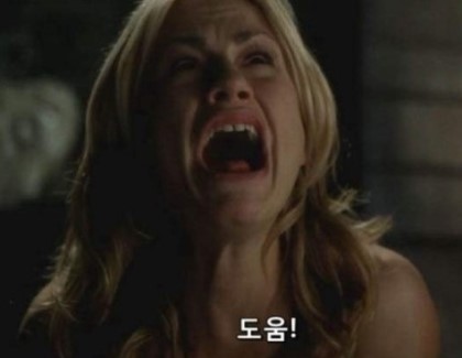 꿈날 이미지