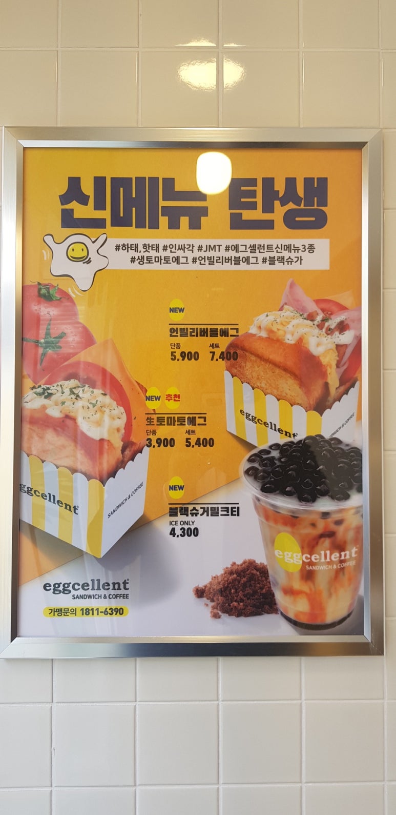 에그셀런트 이미지