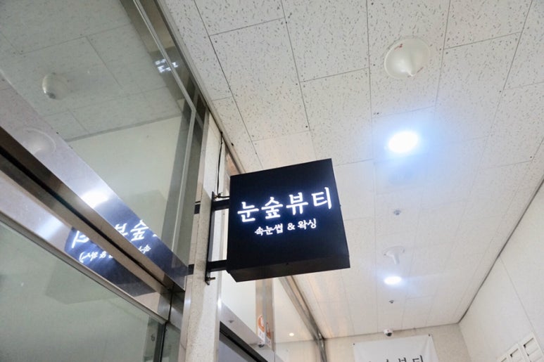 눈숲 이미지