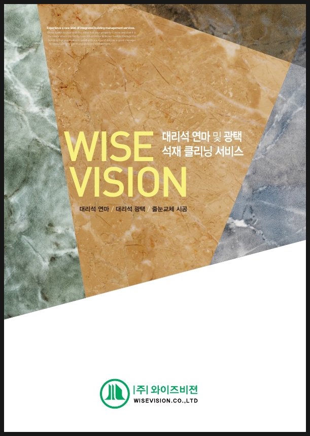 와이즈비젼 이미지