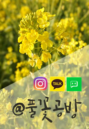 풀꽃공방 이미지