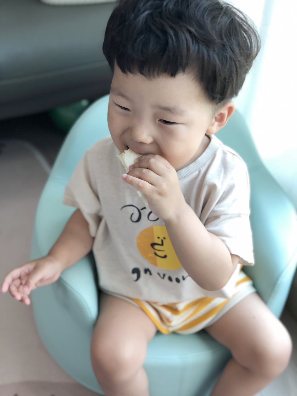 홍루이젠목감 이미지