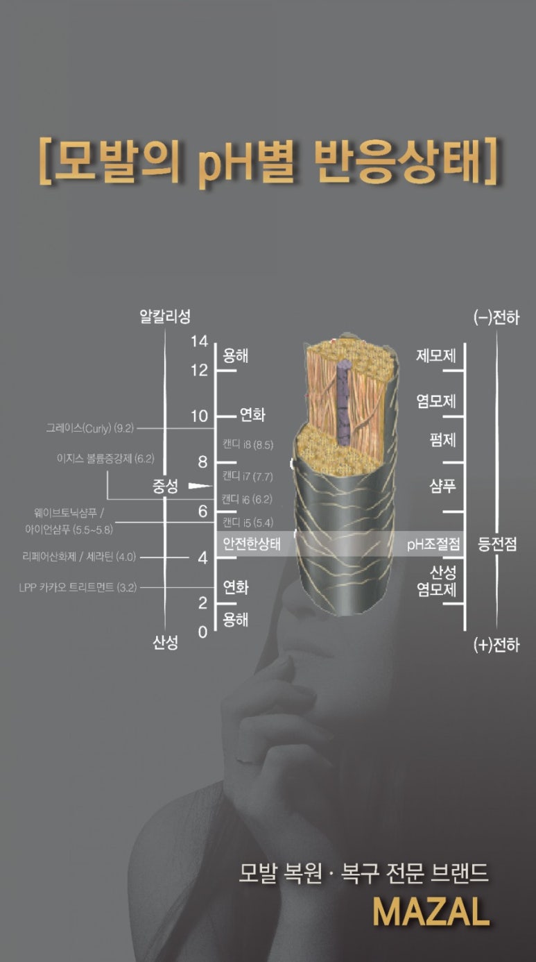 해삼살롱 이미지