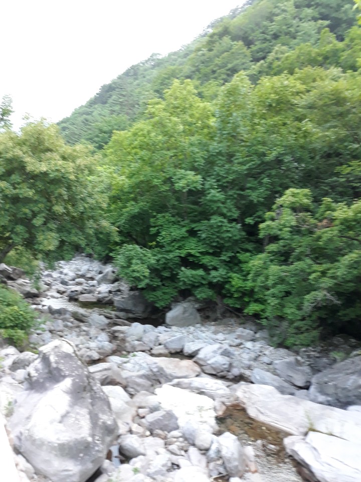 두타산자연휴양림 이미지