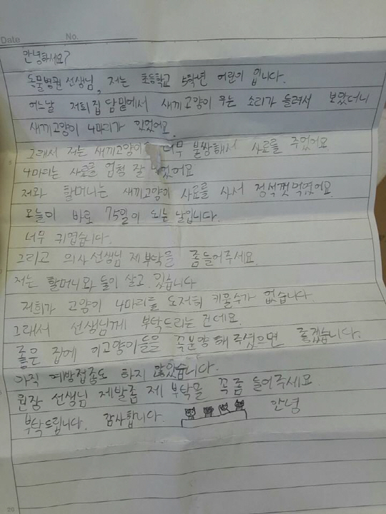 고양이편지 이미지