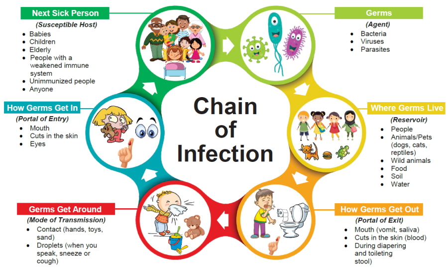 Breaking The Chain Of Infection Worksheet Answers