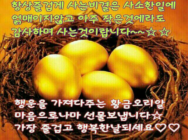 친환경케어 이미지