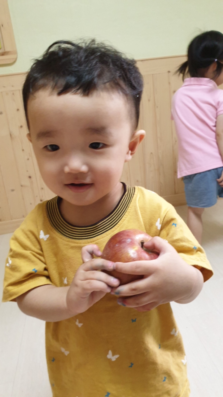 과일.야채 이미지