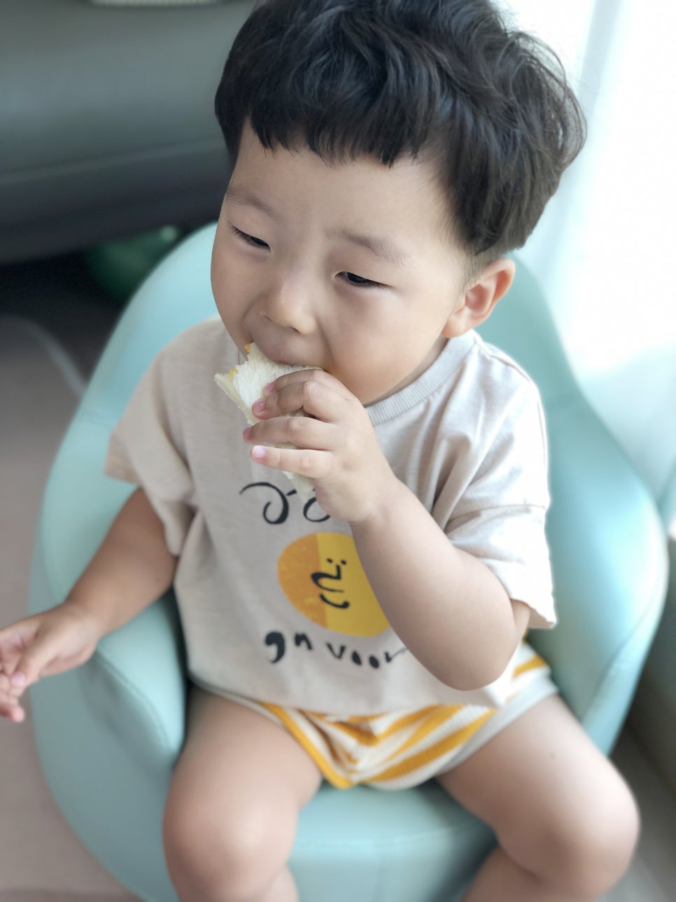 홍루이젠목감 이미지