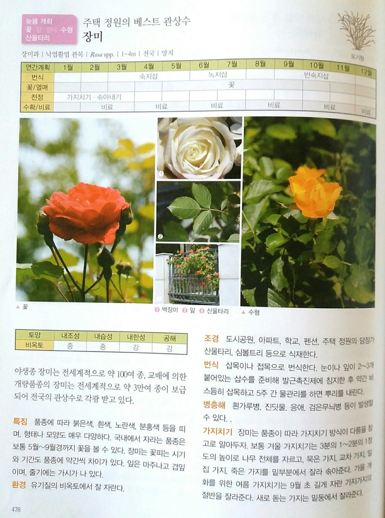 선비서적 이미지