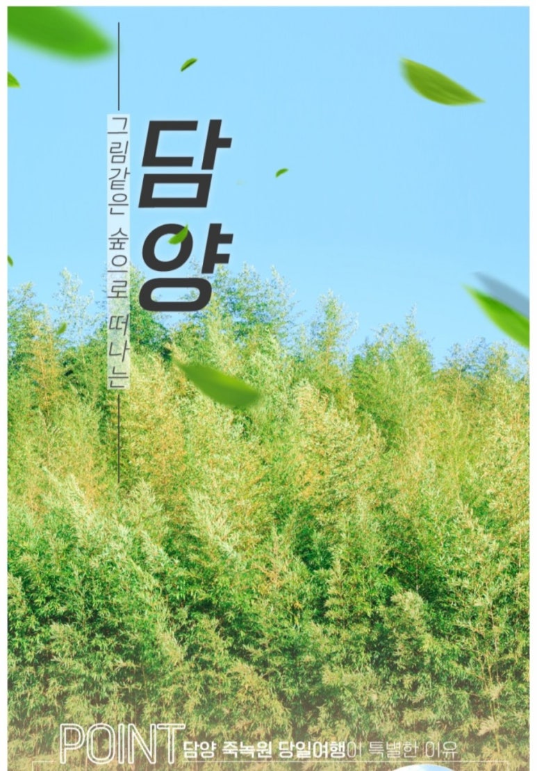 힐링투어라인 이미지
