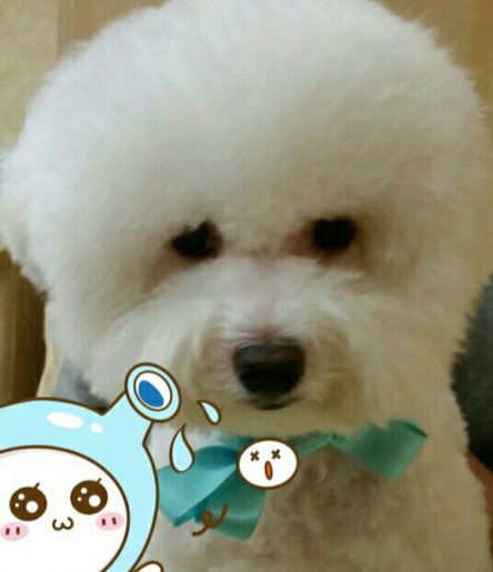 깍새미용실 이미지
