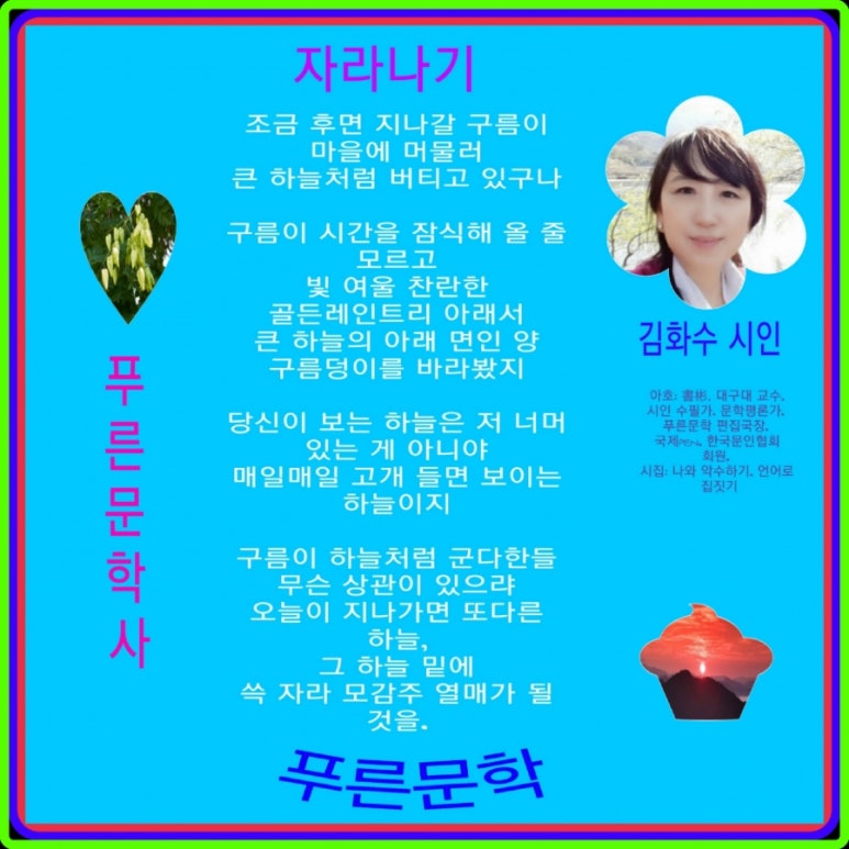 김*화 이미지