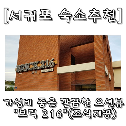 브릭216 이미지