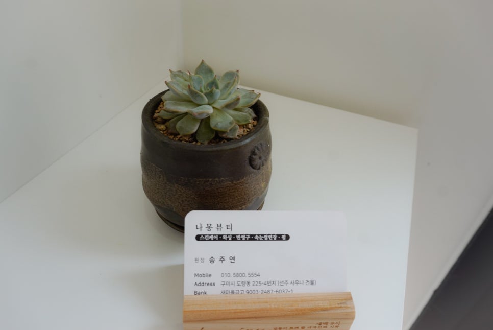 나몽 이미지