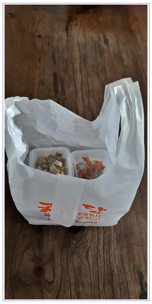 국보당 이미지