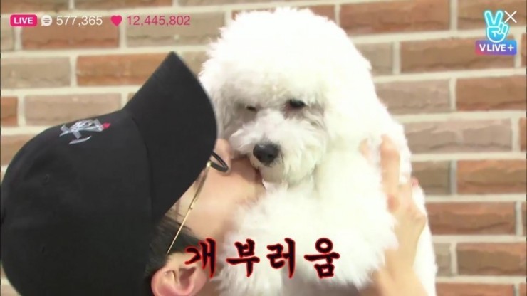 쏭네일 이미지