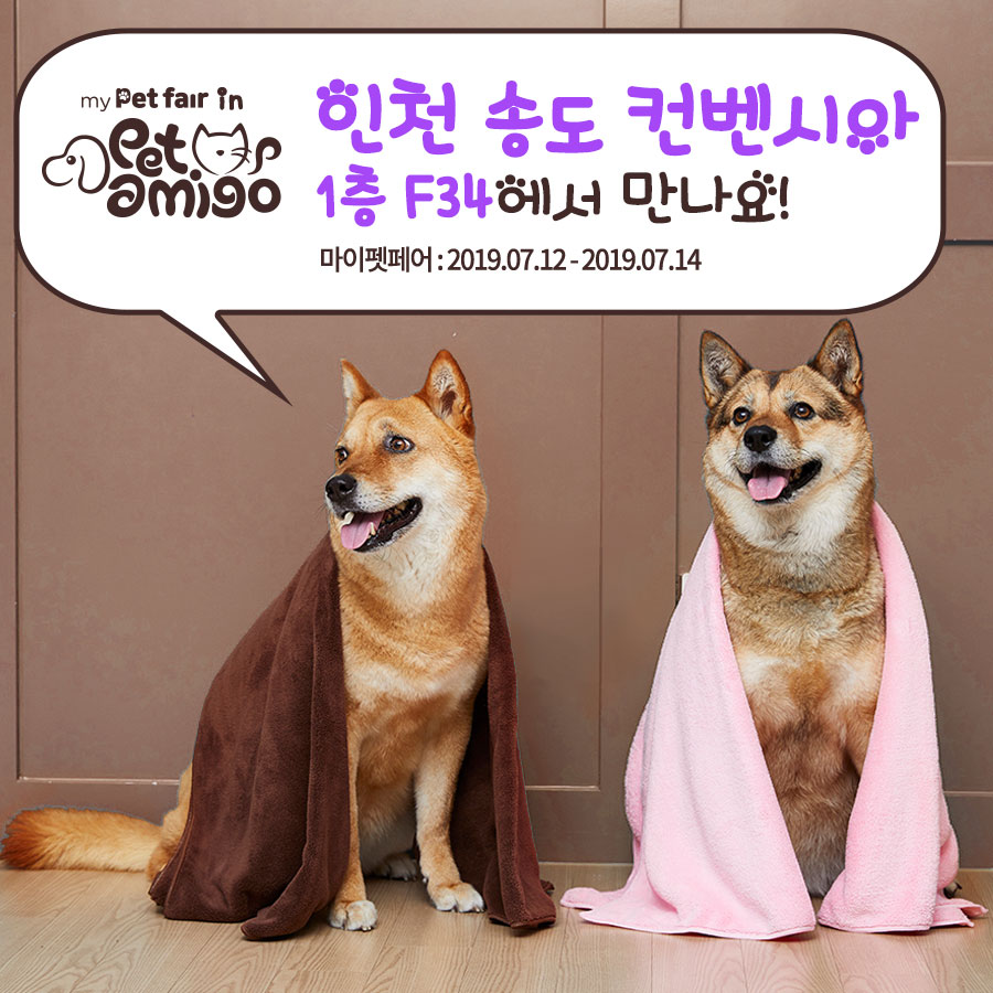 마이아미고 이미지