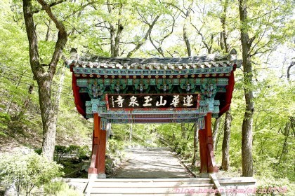 콜핑부산 이미지