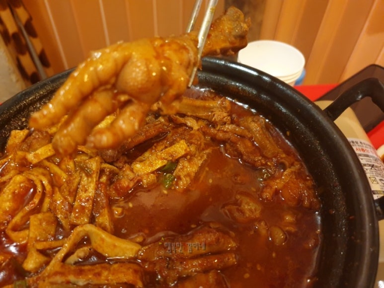 소라네파전다됐네 이미지